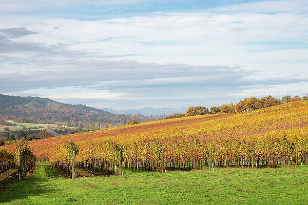 Oregon Photograph - Rogue Valley, Oregon by Diane Moller