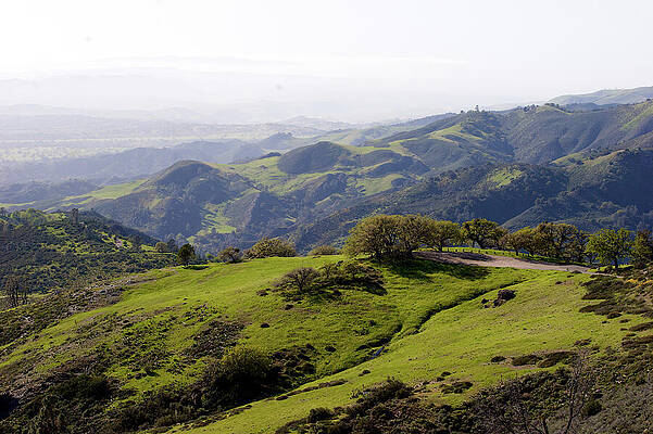 Rolling Green Hills Under Clear Sky Photograph