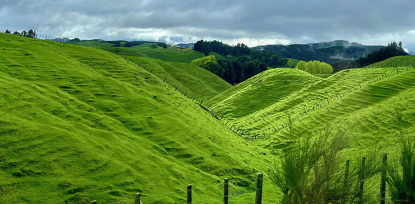 Rolling Green Hills Under Cloudy Sky by Barbara Siegel