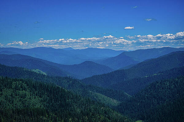 Tree Wall Art featuring the photograph Rolling Hills - Colorado by Robert Niemeier