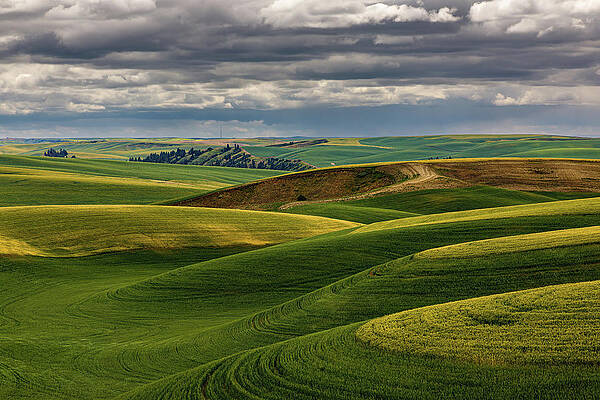 Washington Wall Art featuring the photograph Rolling Rotations by Tim Lyden