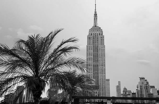 New York City Wall Art featuring the photograph Rooftop Oasis by Jeffrey Bailey