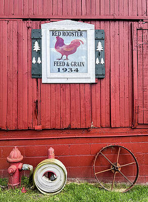 Wall Art featuring the photograph Rooster Barn by Lloyd Gillies