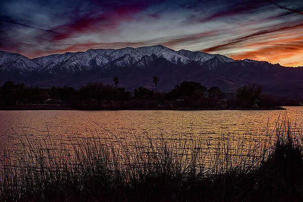 Winter Photograph - Roper Lake State Park by Matt Halvorson