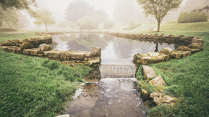 Nature Wall Art featuring the photograph Rose Garden Pond by Jason Fink