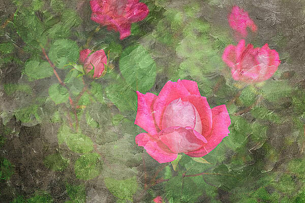 Wall Art featuring the photograph Rose Textures by Mary Lee Dereske