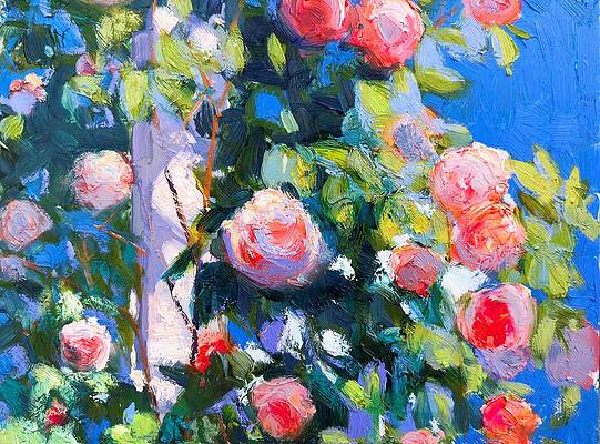 Rose Wall Art for Sale by Khanlar Asadullayev