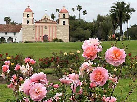 Roses Bloom Near Historic Mission Photograph