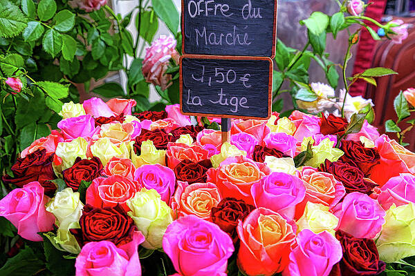 Wall Art featuring the photograph Roses, Roses, And More Roses-Digital Art by Steve Templeton