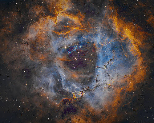 Cosmic Wall Art featuring the photograph Rosette by Bruce Feagle