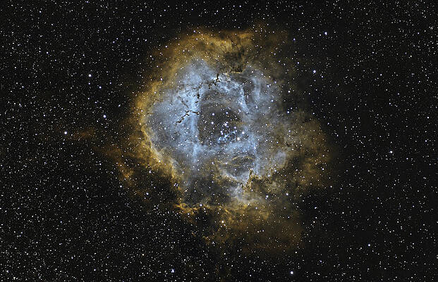 Nebula Photograph - Rosette Nebula by Brian Weber