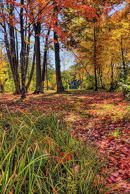Wall Art featuring the photograph Rothschild Pavilion Island Park by Dale Kauzlaric