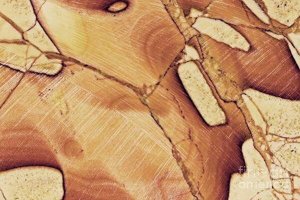 Abstract Photograph - Rough Sawn by Eric Kyle