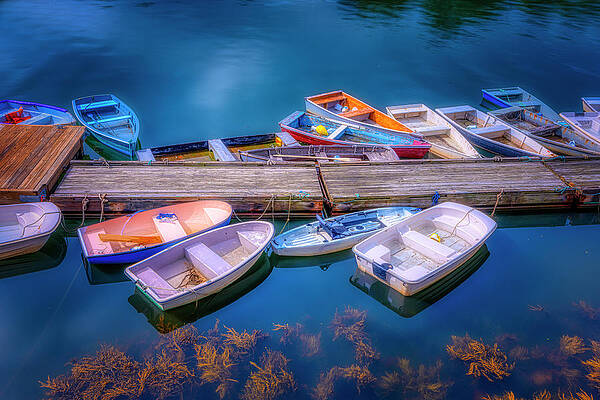 Wall Art featuring the photograph Row Boats Galore by Penny Polakoff