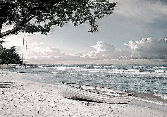 Wall Art featuring the digital art Rowboat And A Tree Swing by David Manlove