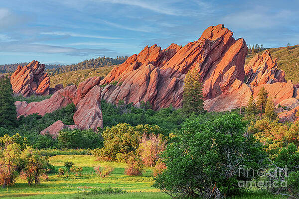 Roxborough Park Colorado by Shirley Dutchkowski