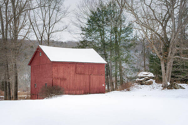 Winter Wall Art featuring the photograph Roxbury Barn In The Snow by Dave King