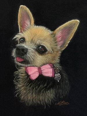 Wall Art featuring the pastel Roxie by Marlene Little