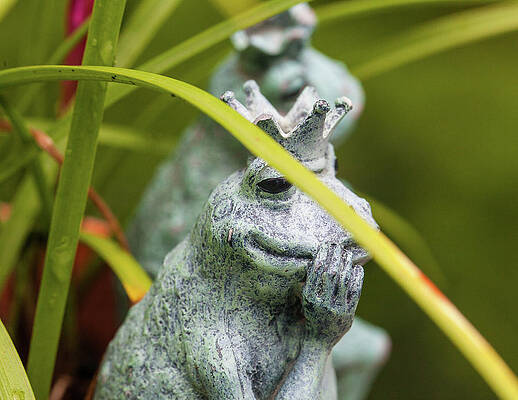 Photograph - Royal Couple by Robert Allen Hill
