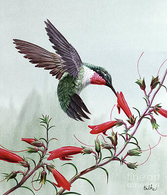Nature Wall Art featuring the painting Ruby-throated Hummingbird by Don Balke