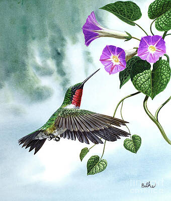 Nature Wall Art featuring the painting Ruby-Throated Hummingbird Taking Nectar From Flowers I by Don Balke