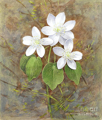 Tree Painting - Rue Anemone by Gordon Beningfield