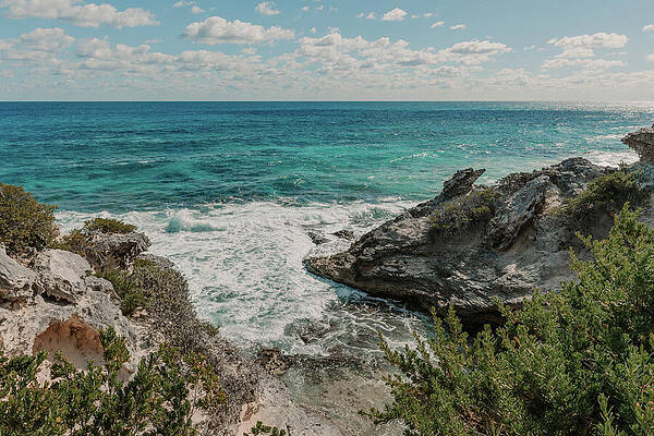 Greenery Photograph - Rugged Coastline by Nova Rae