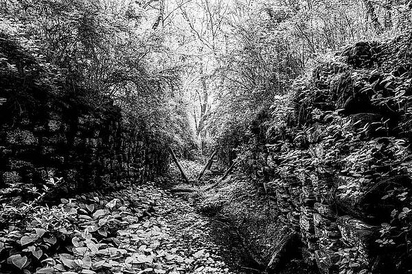 Pennsylvania Photograph - Ruins Of Lock 13 In Black In White by Anthony Hightower