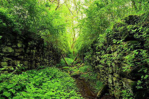Nature Photograph - Ruins Of Lock 13, Susquehanna And Tidewater Canal by Anthony Hightower