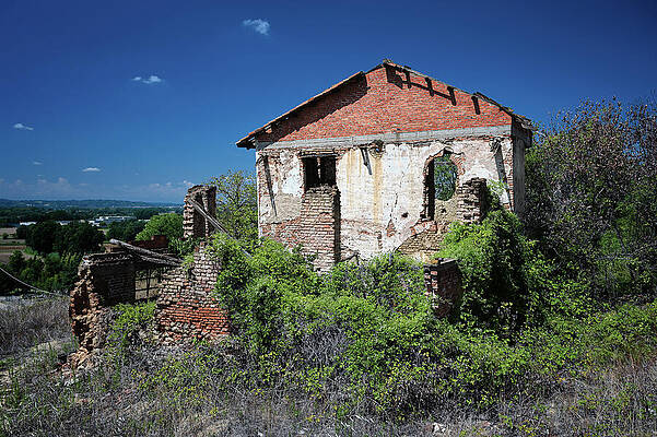 Abandoned House Under Blue Sky Wall Art