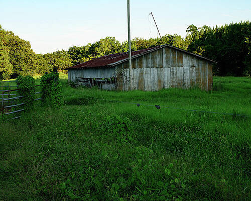 Wall Art featuring the photograph Run Down Horse Barn 02 by Flees Photos