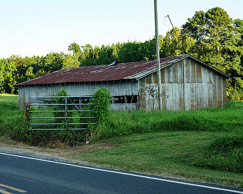 Wall Art featuring the photograph Run Down Horse Barn by Flees Photos