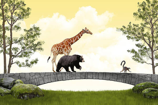 Circus Animals on Stone Bridge Wall Art