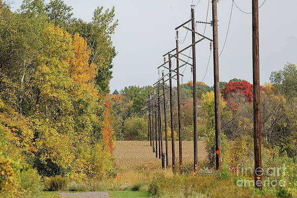 Fall Photograph - Rural Minnesota In Fall by Natural Focal Point Photography