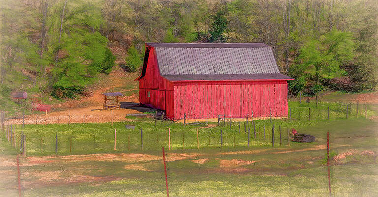 Serene Photograph - Rural Sunshine by Marcy Wielfaert