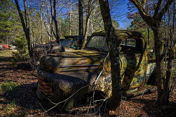 Rusty Trucks in Enchanted Forest Photograph