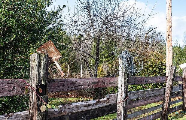 2023 Photograph - Rusty Shovel Blade And Barbed Wire by Tom Cochran