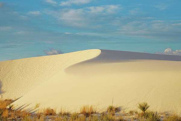 Wall Art featuring the photograph S-wave Sand Dune by Sunniye Buesing