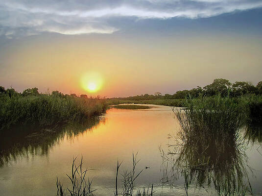 Wall Art featuring the photograph Sabi Sands River by Rebecca Herranen