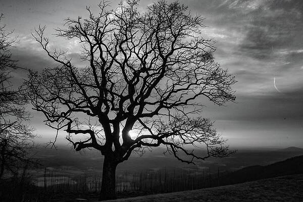 Wall Art featuring the photograph Saddle Overlook Black And White Sunrise by Deb Beausoleil