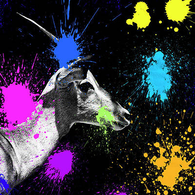 Goat with Vibrant Color Splatters Wall Art