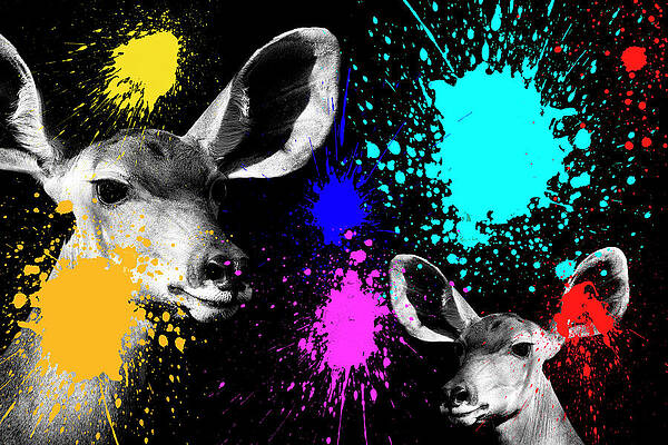 Deer with Vibrant Color Splashes Wall Art