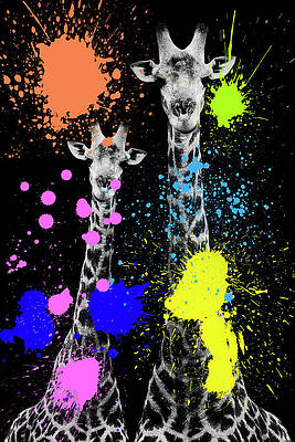 Colorful Giraffes with Paint Splashes Wall Art