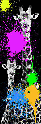 Colorful Giraffes with Paint Splashes Wall Art