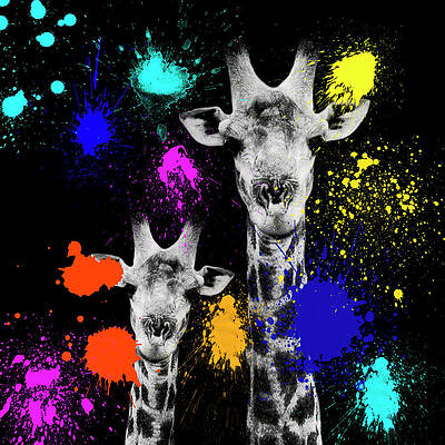 Colorful Giraffe Duo Wall Art