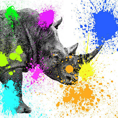 Colorful Rhino Splatter Art Wall Art