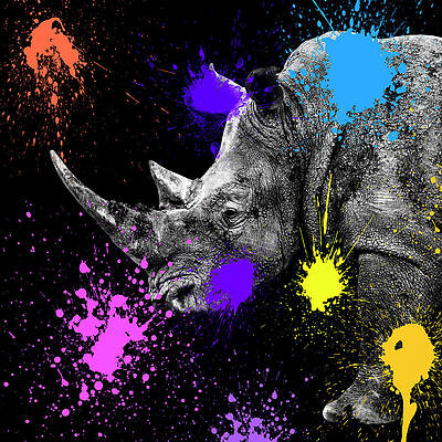 Colorful Rhino with Paint Splatters Wall Art