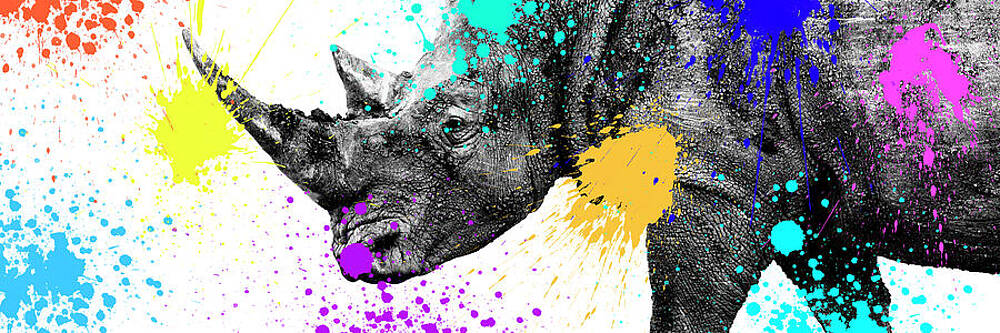 Colorful Rhino with Paint Splashes Wall Art