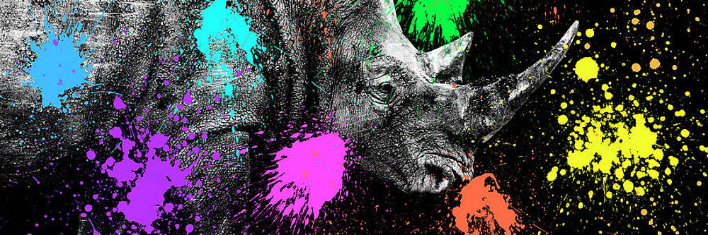 Rhino with Colorful Paint Splashes Wall Art
