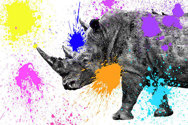 Colorful Rhino with Paint Splashes Wall Art